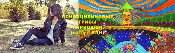 mix Горнозаводск