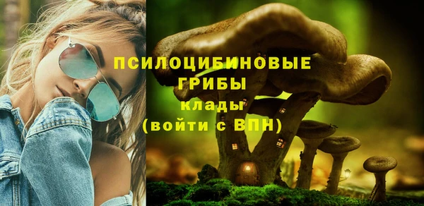 2c-b Горняк