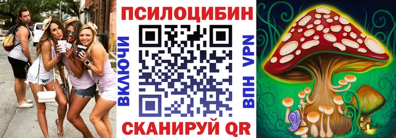 наркотики  Дедовск  Галлюциногенные грибы мицелий 