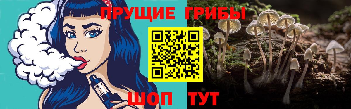 Дедовск  Галлюциногенные грибы Cubensis  Псилоцибиновые грибы Cubensis  Вход с VPN 