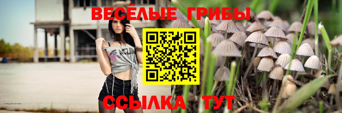 Псилоцибиновые грибы Psilocybine cubensis Дедовск