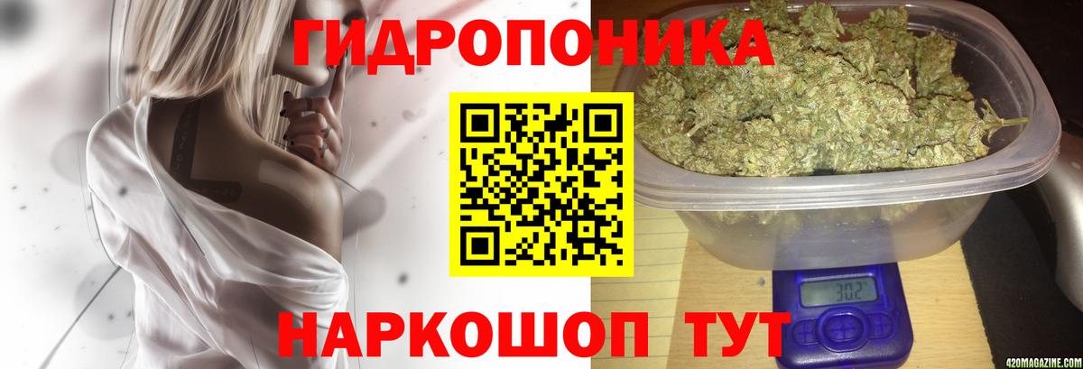 Бошки марихуана планчик Дедовск